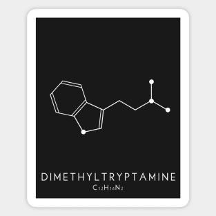 Dimethyltryptamine / DMT Molecular Structure in Black Magnet